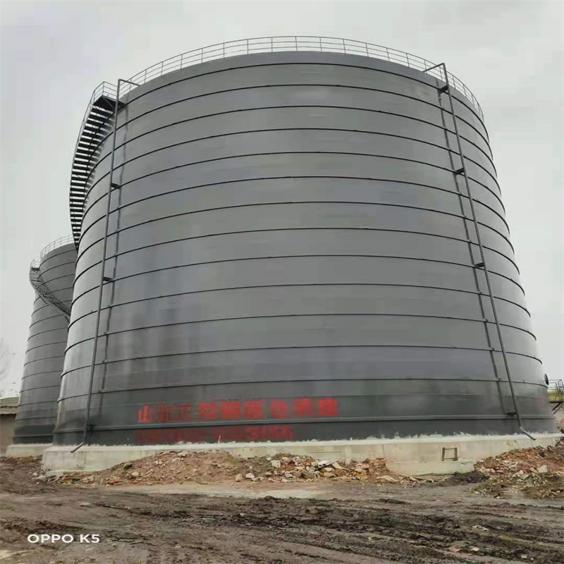 贞丰3万吨大型钢板库