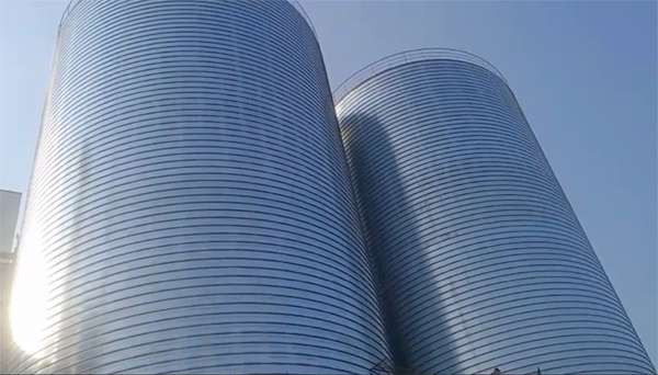 贞丰2座混凝土高架卷板仓